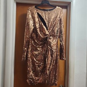 Fashion Nova Bronze Sequin Long Sleeve Dress